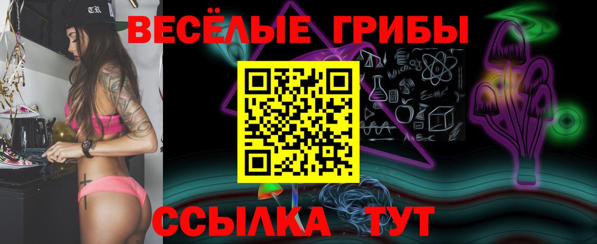 Клин  Псилоцибиновые грибы Cubensis  Вход с VPN 